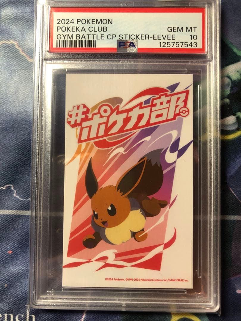 希少 PSA10 連番セット ピカチュウ イーブイ ブラッキー ポケカ部 レア