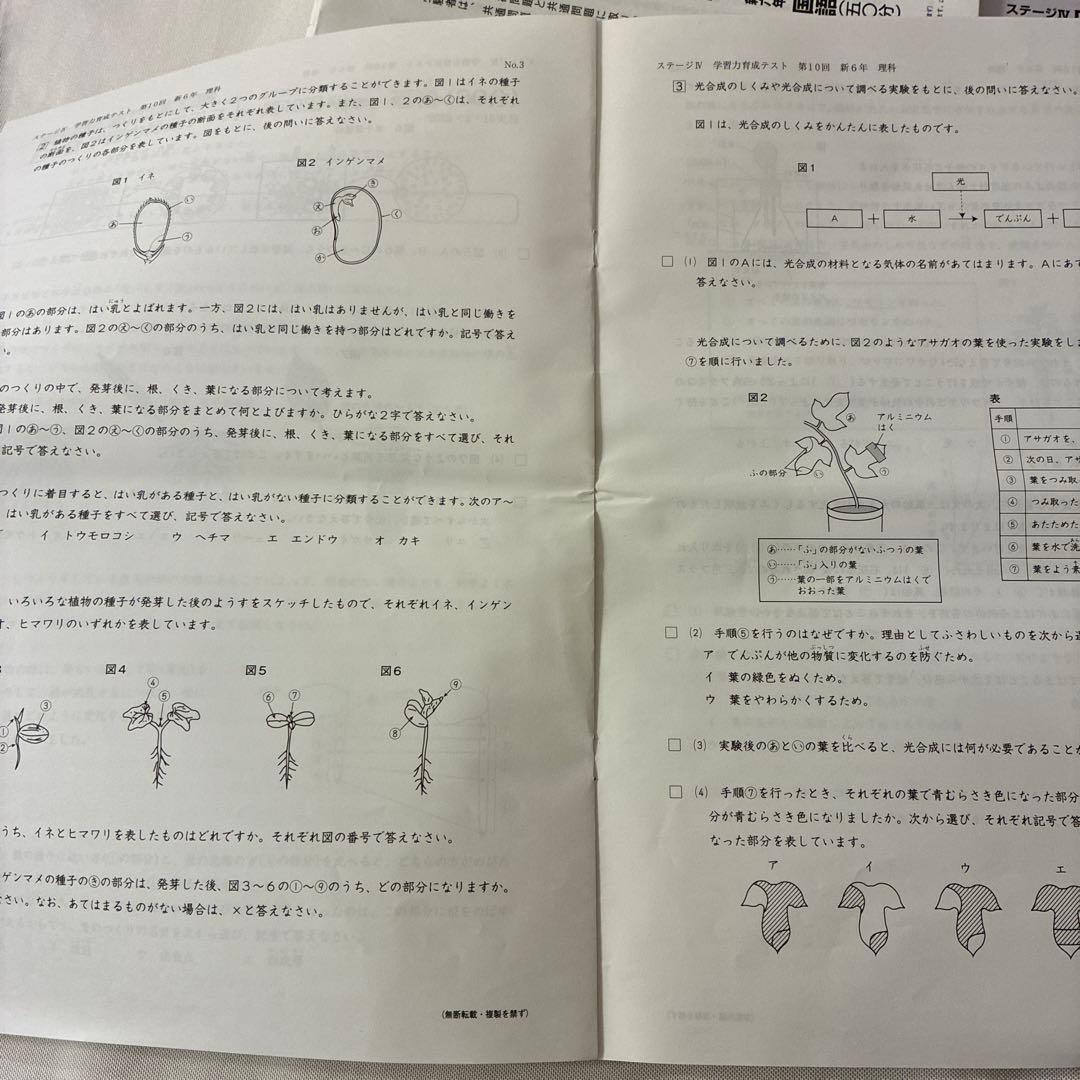 2025年度日能研学習力育成テスト6年前期 2月-5月 春季特別