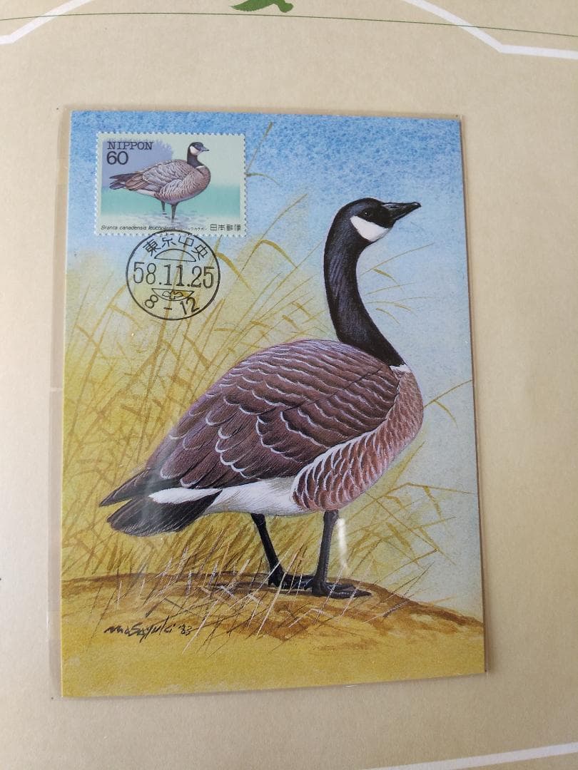 初日カバー マキシマムカード 特殊鳥類シリーズ切手コレクション 22通