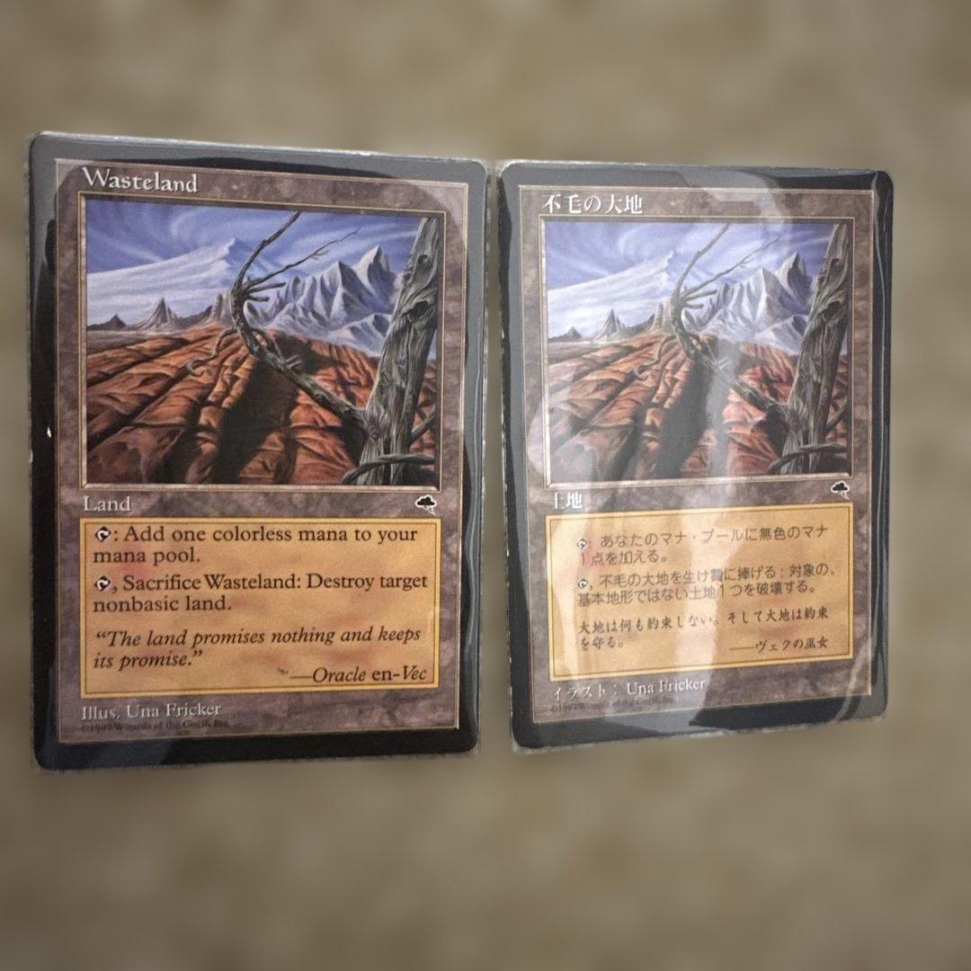 MTG 不毛の大地2枚セット