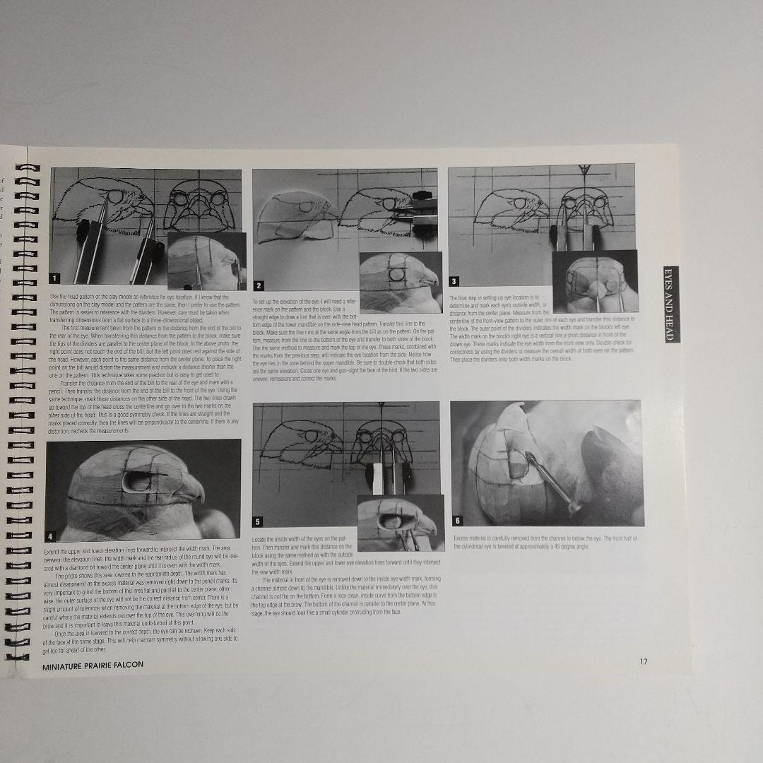 バードカービング教本2冊 パトリック ゴディンのカモとロニーダイの