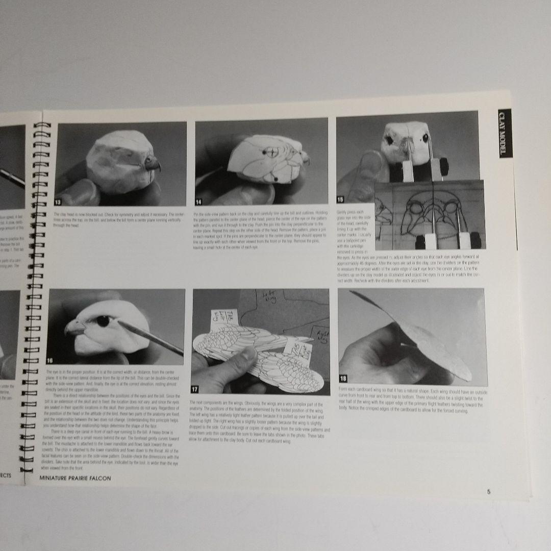 バードカービング教本2冊 パトリック ゴディンのカモとロニーダイの