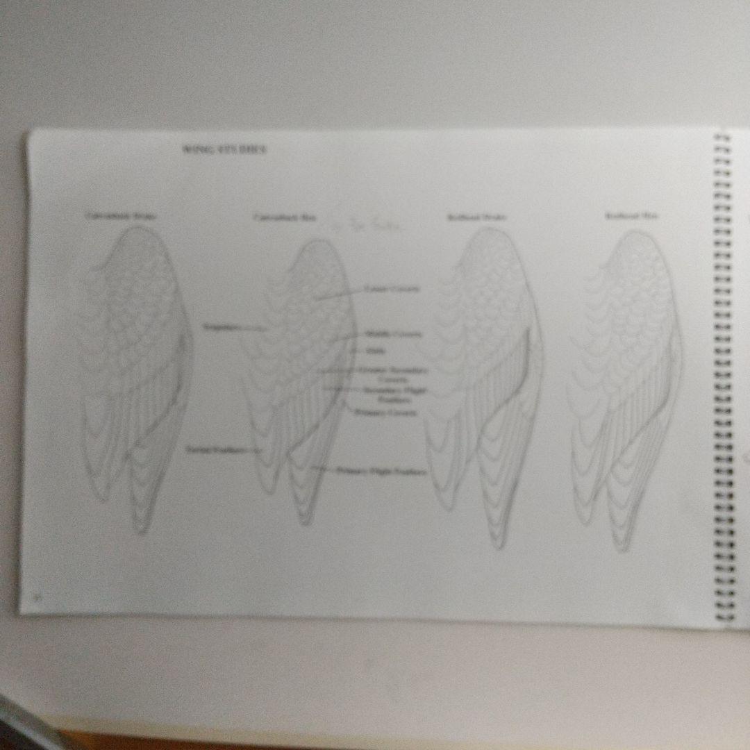 バードカービング教本2冊 パトリック ゴディンのカモとロニーダイの