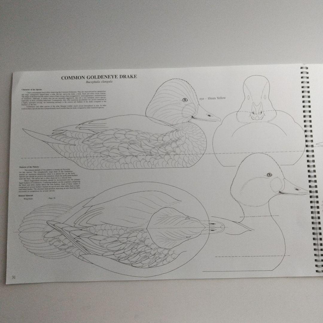 バードカービング教本2冊 パトリック ゴディンのカモとロニーダイの