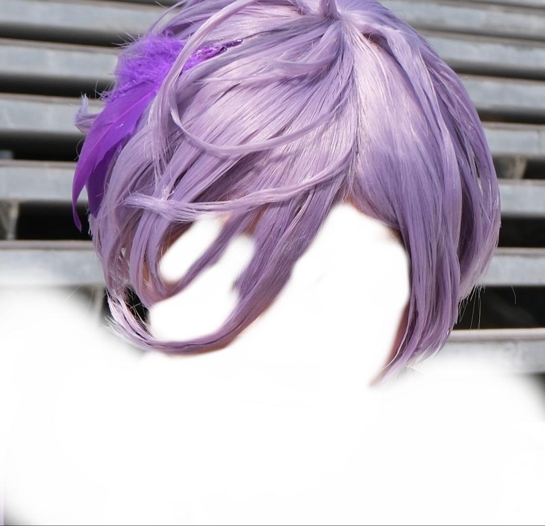 榊ネス コスプレ ウィッグ - メルカリ
