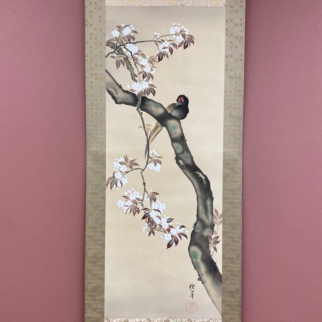美品 掛け軸 酒井抱一筆 桜花雉子図 花鳥十二カ月 名画 縁起物 - メルカリ
