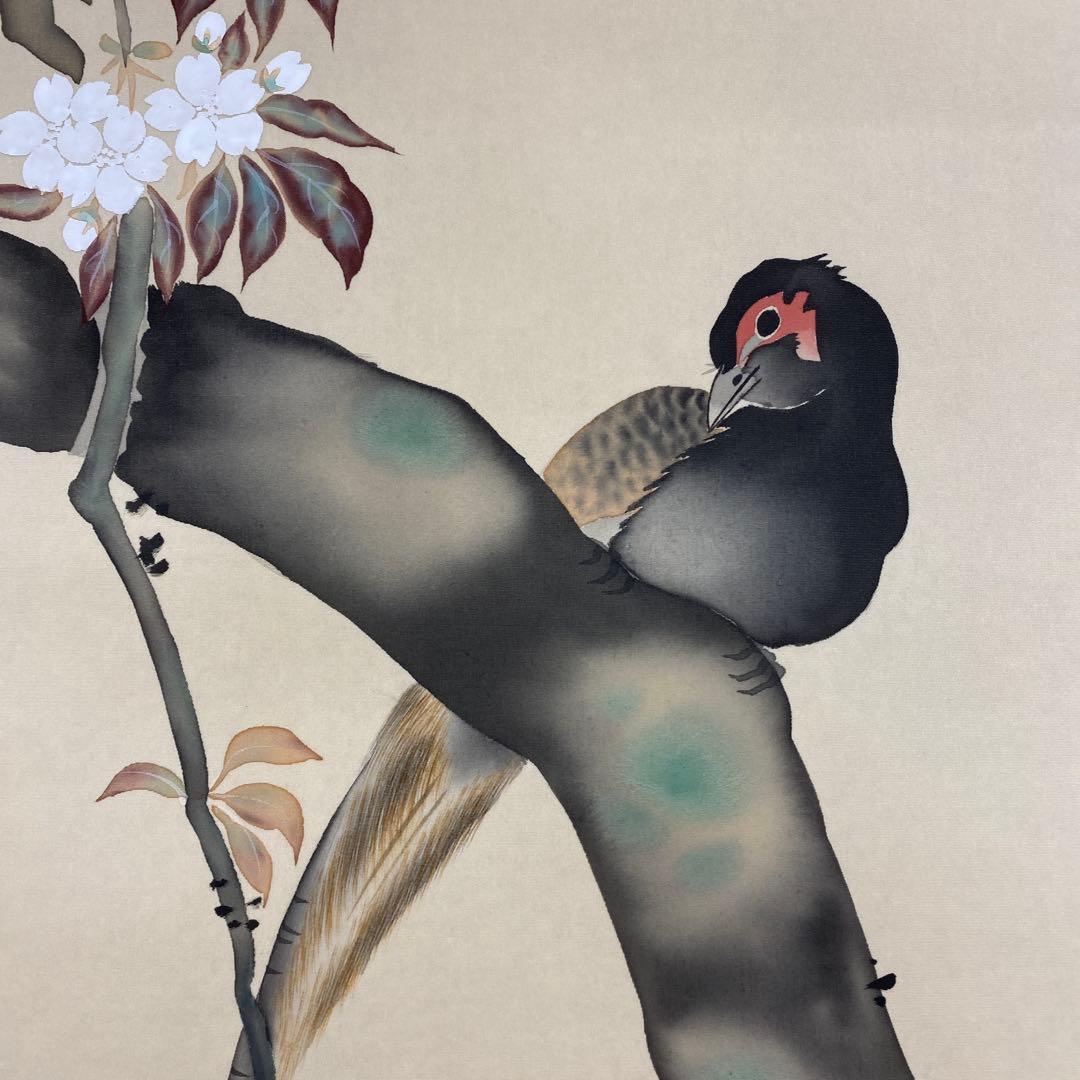 美品 掛け軸 酒井抱一筆 桜花雉子図 花鳥十二カ月 名画 縁起物 - メルカリ