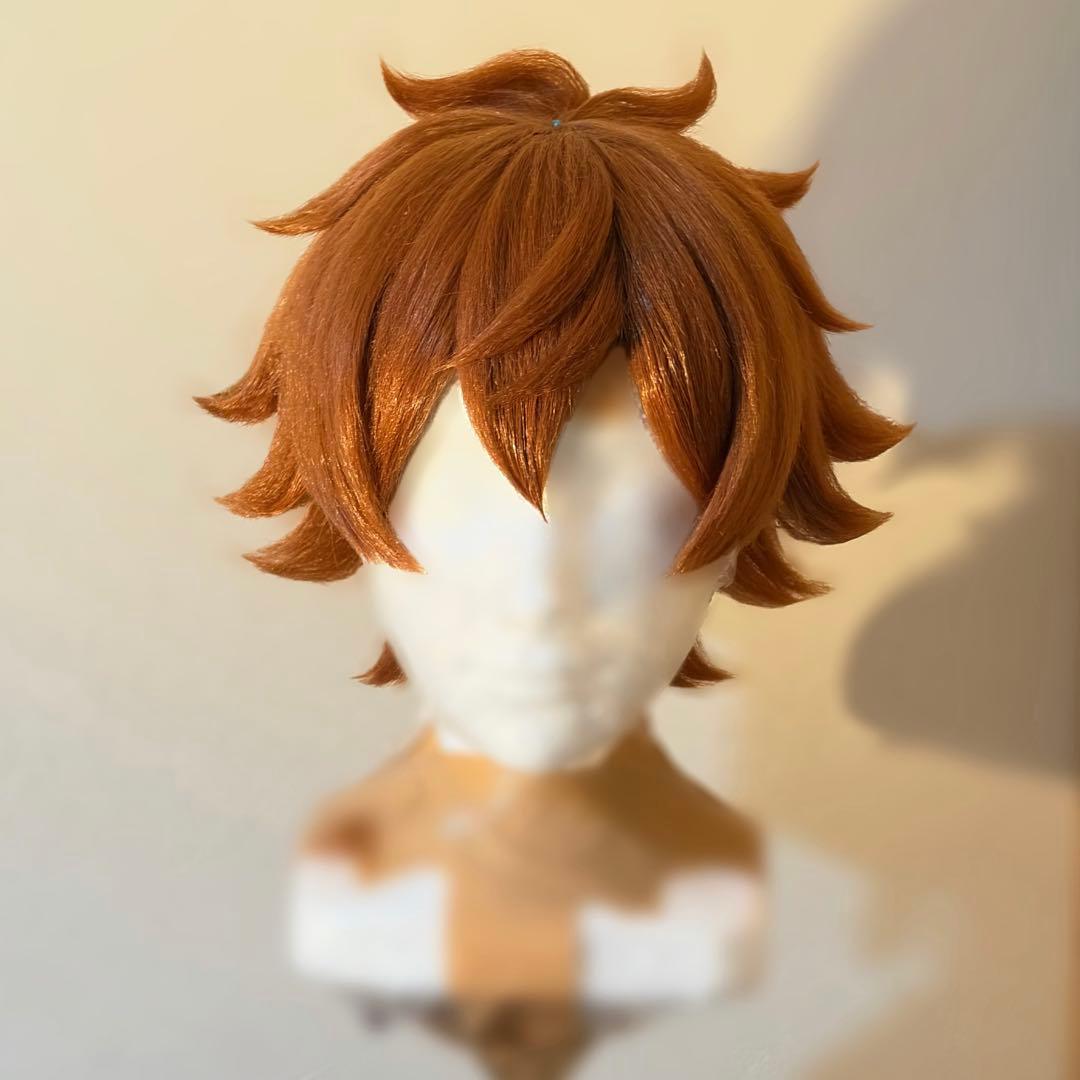 ま*る様 ツイステ エース コスプレ ウィッグ