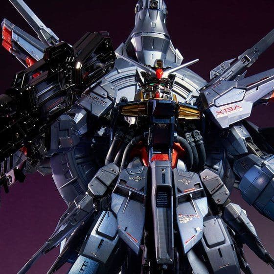 新品未開封 ＭＧ 1/100 プロヴィデンスガンダム [スペシャルコーティング]