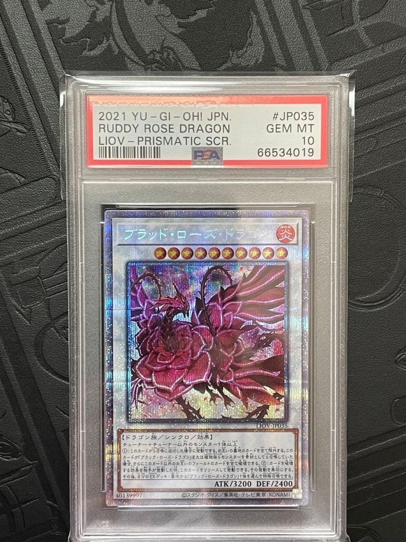 PSA 10 遊戯王 ブラッド・ローズ・ドラゴン プリシク GEMMINT PSA 10 遊戯王 ブラッド・ローズ・ドラゴン プリシク GEMMINT PSA 10