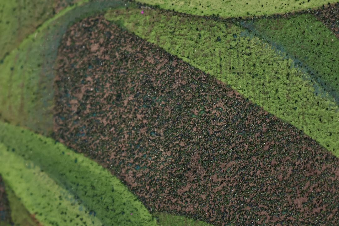 池内璋美 「 蘭花 」 10号 岩彩画 共シール タトウ 黄袋 BK60 - メルカリ