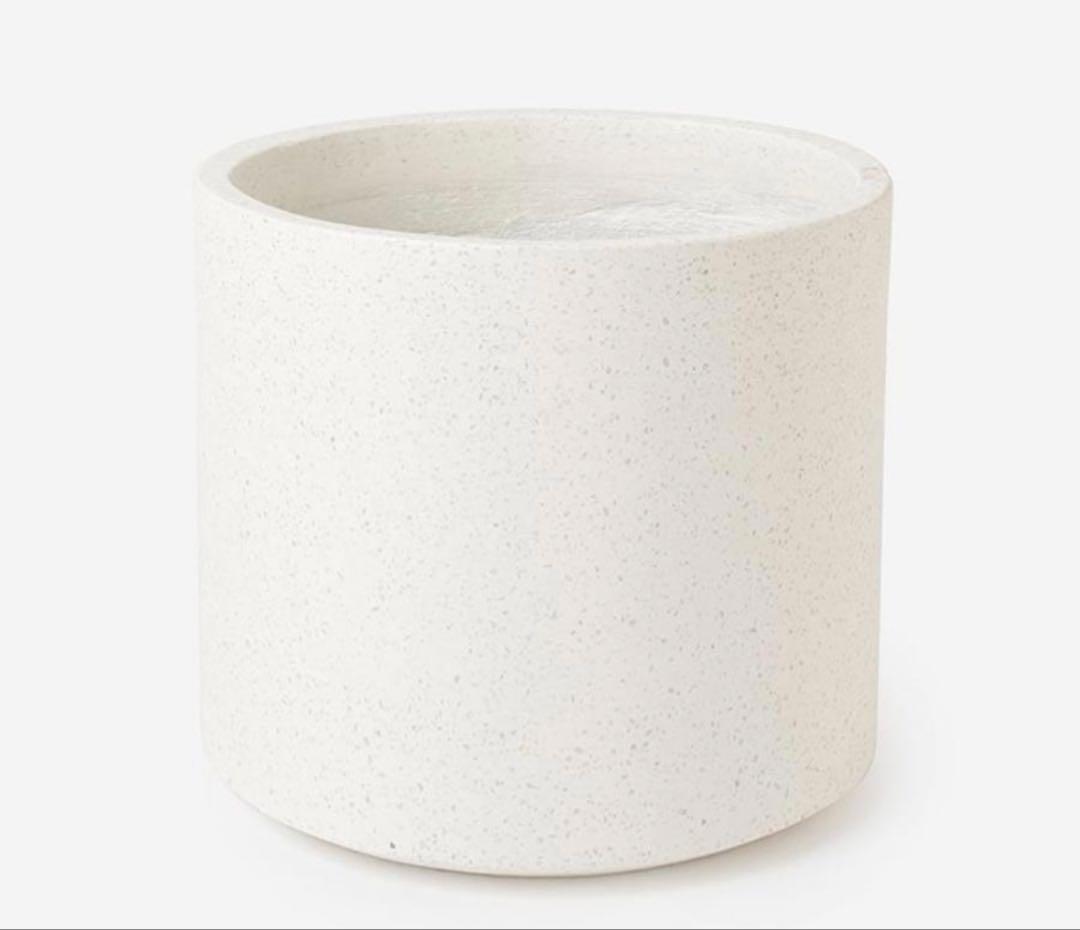 モン太　YAMATEI | プラントポット