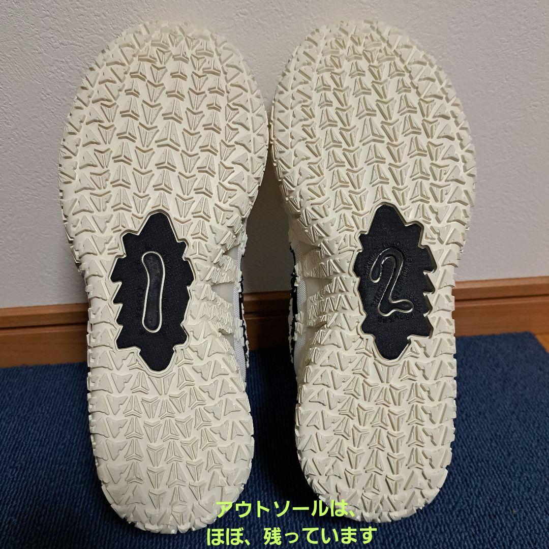 シューズ(男性用) NIKE JA3 EP 28.0cm