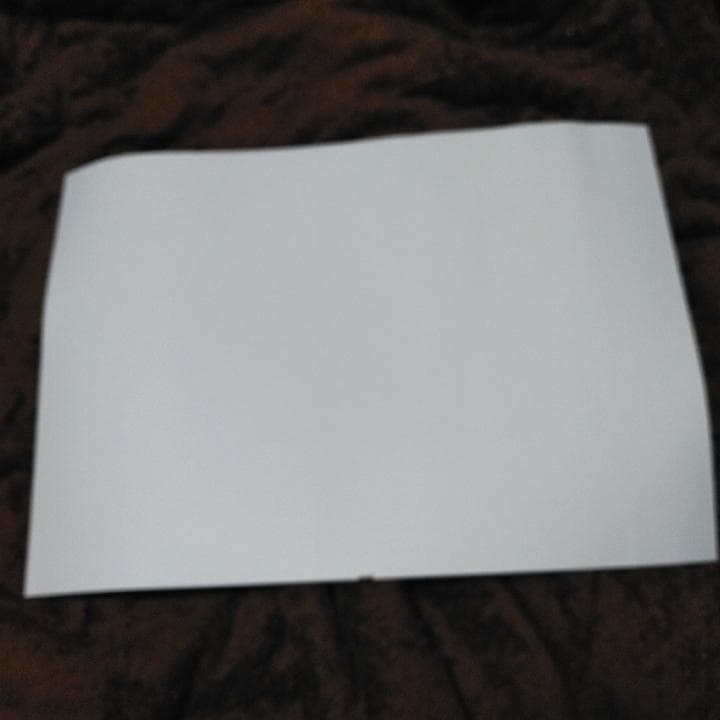 グラサイ キッチン ランチョンマット 第10弾 - メルカリ