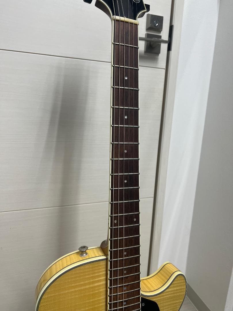 最終値下げ Sadowsky Semi Hollow Vintage Amber - メルカリ