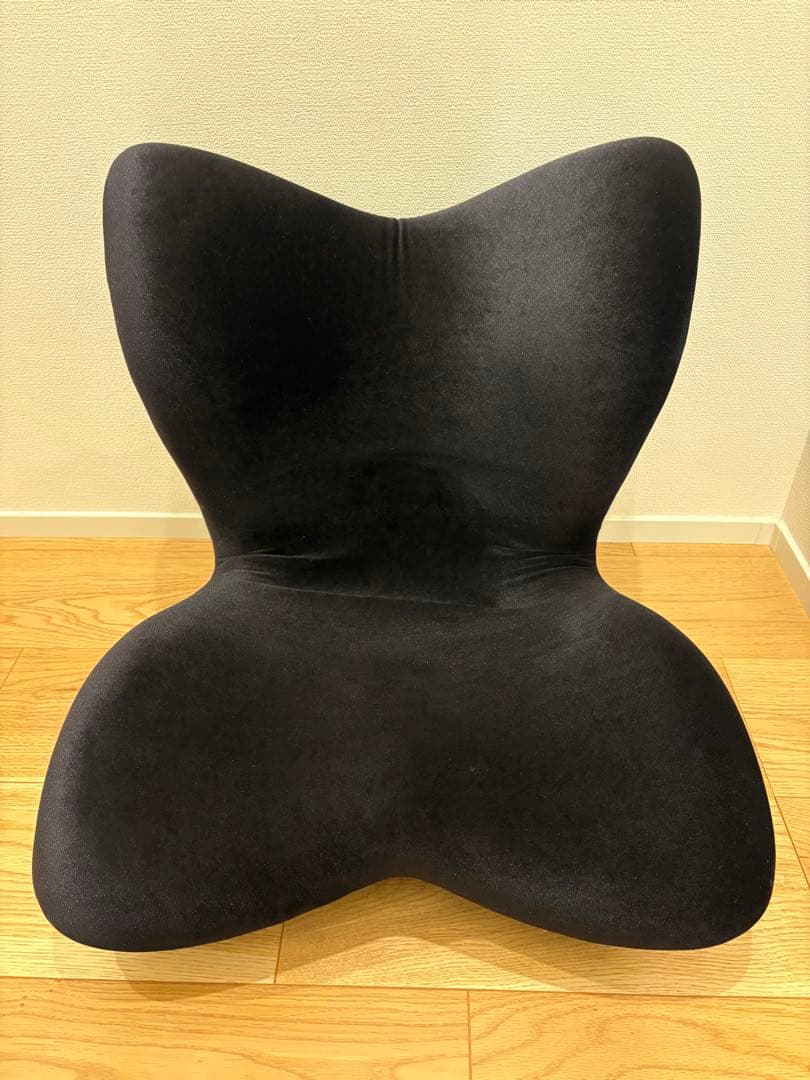 Style PREMIUM DX スタイル プレミアム デラックス　ブラック