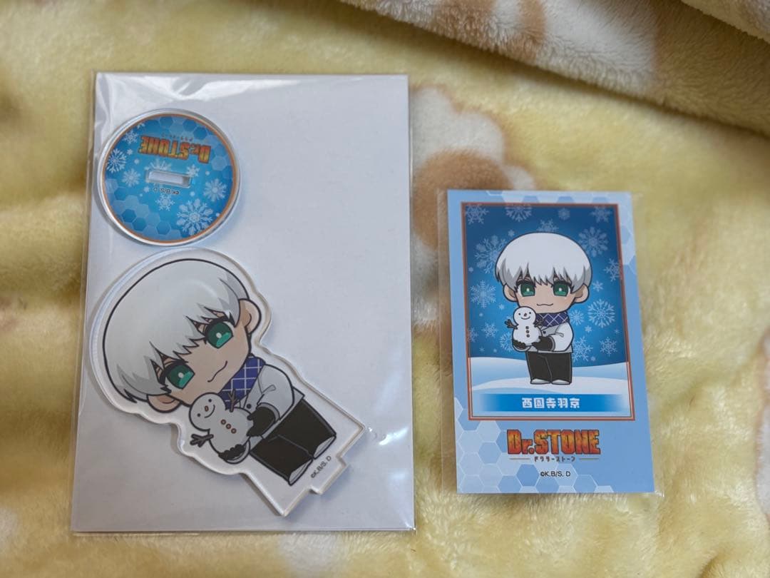 Dr.STONE アクリルスタンド 雪まつり プリンセスカフェ 西園寺羽京