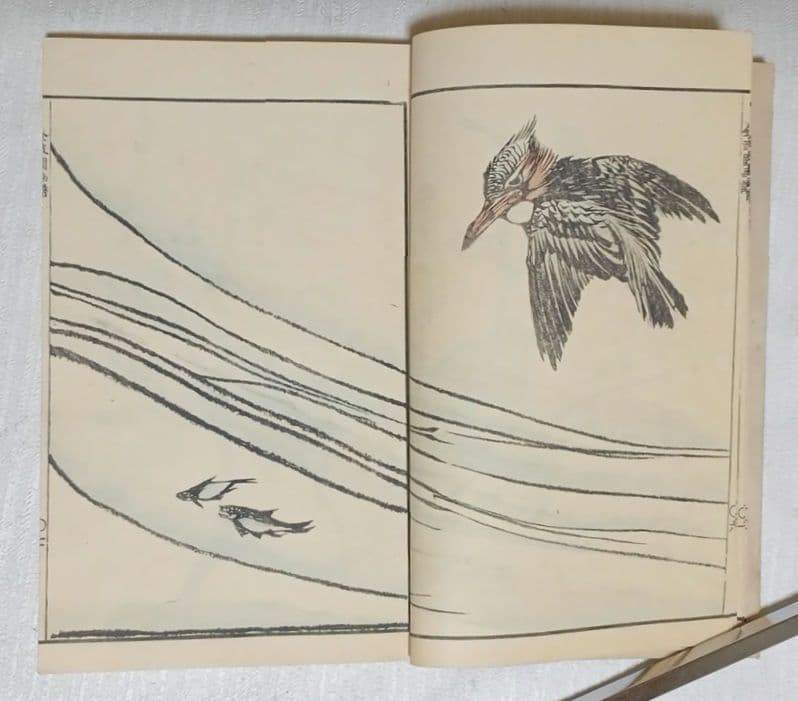 金波園画譜色刷り版画本河村文鳳画 文政3年（1820)年出版琳派風の豪華な表紙