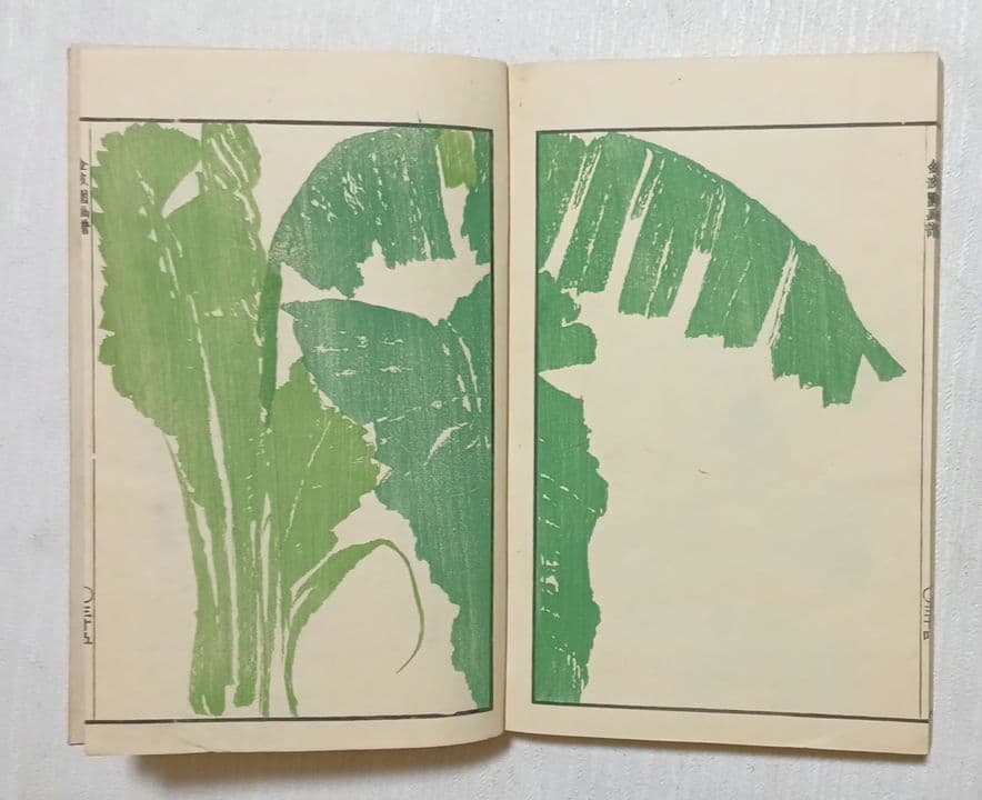 金波園画譜（色刷り版画本)河村文鳳画 文政3年（1820)年出版 - メルカリ