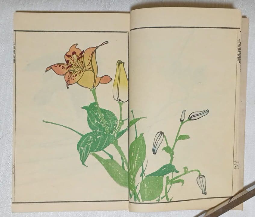 金波園画譜（色刷り版画本)河村文鳳画 文政3年（1820)年出版 - メルカリ