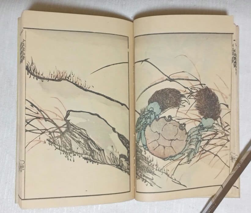 金波園画譜（色刷り版画本)河村文鳳画 文政3年（1820)年出版 - メルカリ