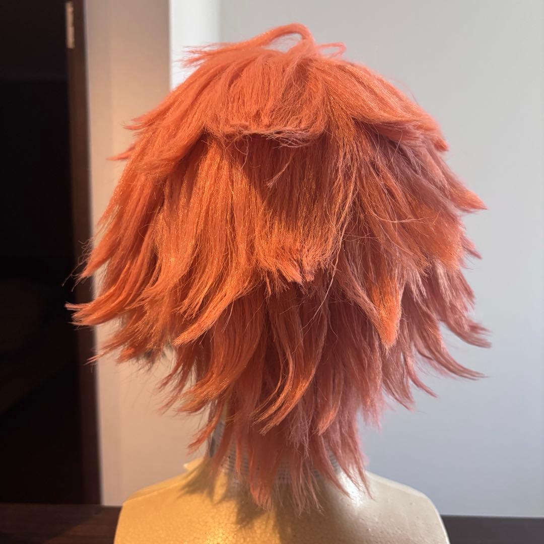 赤城ウェン ウィッグ セット済 - メルカリ