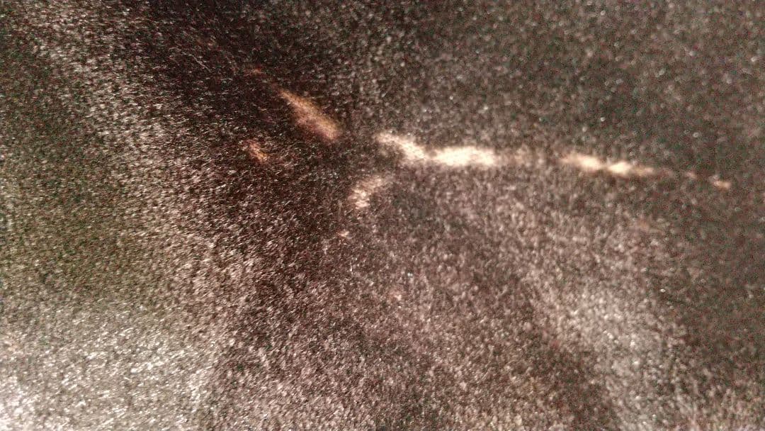 ☆本物☆金プレート2006年モデル長渕剛さんドルガバ ベロア 1B