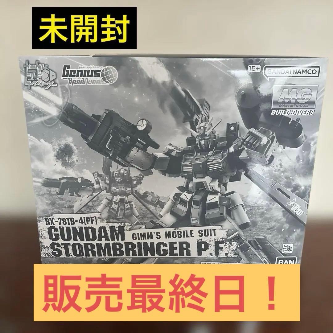 MG 1/100 ガンダムストームブリンガー P.F.