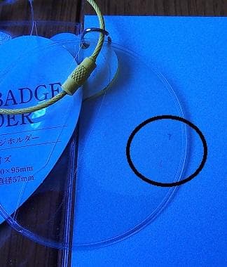 SnowMan BIGぬいぐるみ アクスタ ラバーバンド カード 他 岩本照