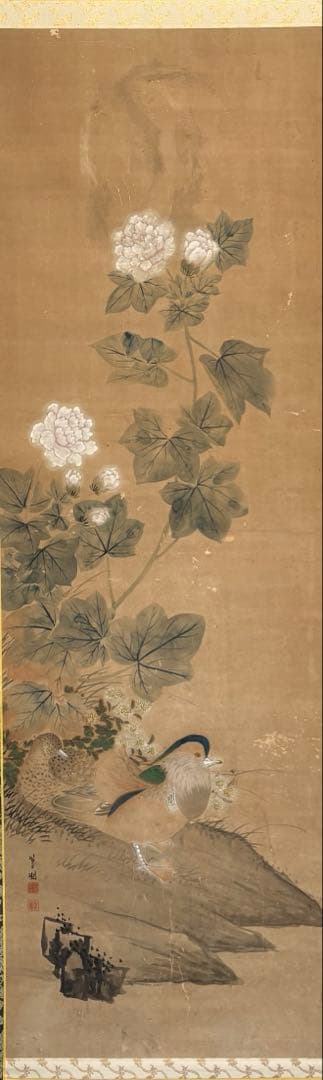 掛軸 花鳥画 牡丹 水鳥 呉昌 江戸後期 明治 日本画 床の間 中幅