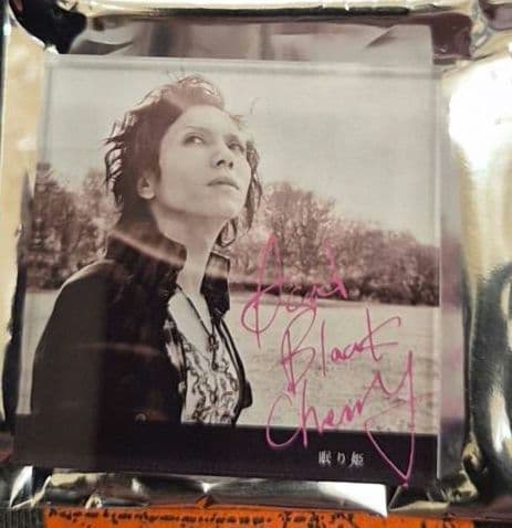 ち*わ様 Acid Black Cherry マグネット シークレット