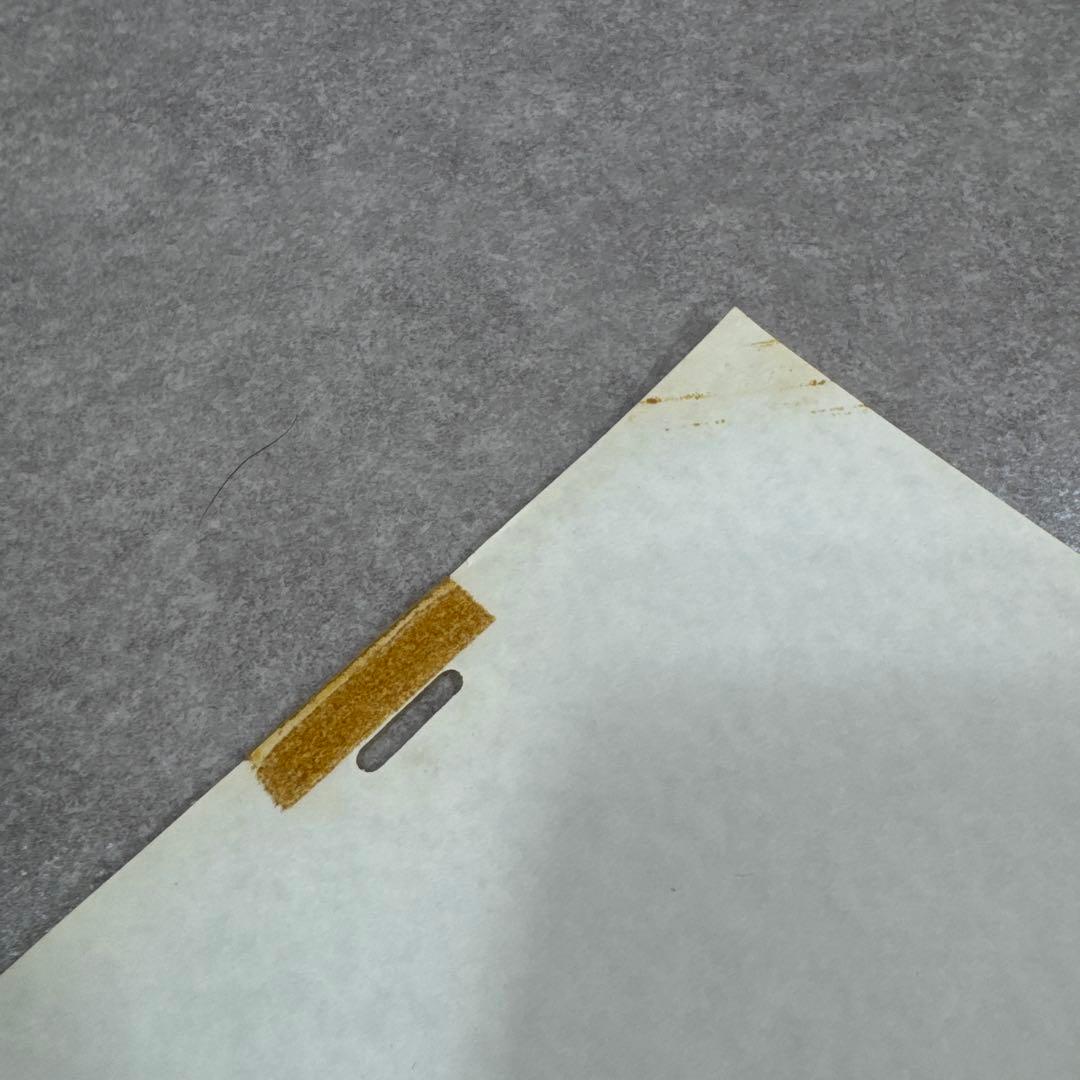 希少 おもひでぽろぽろ 岡島タエ子 セル画 A29 スタジオジブリ - メルカリ