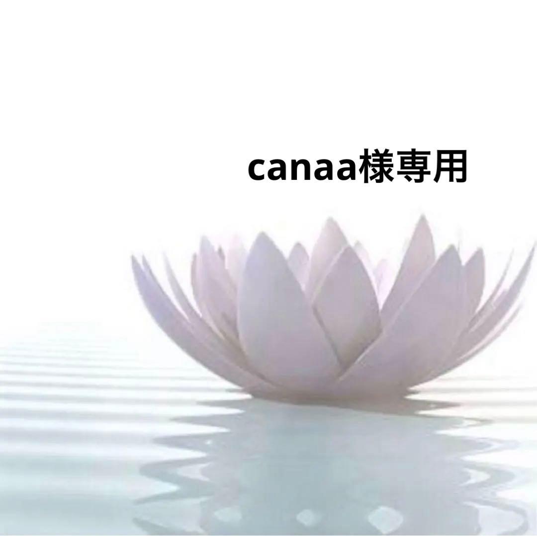 美容液 canaa R