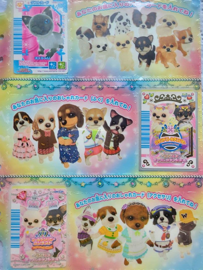 ワンタメカード約450枚(ゴールデンパピー2枚含)コンプリパピブックに