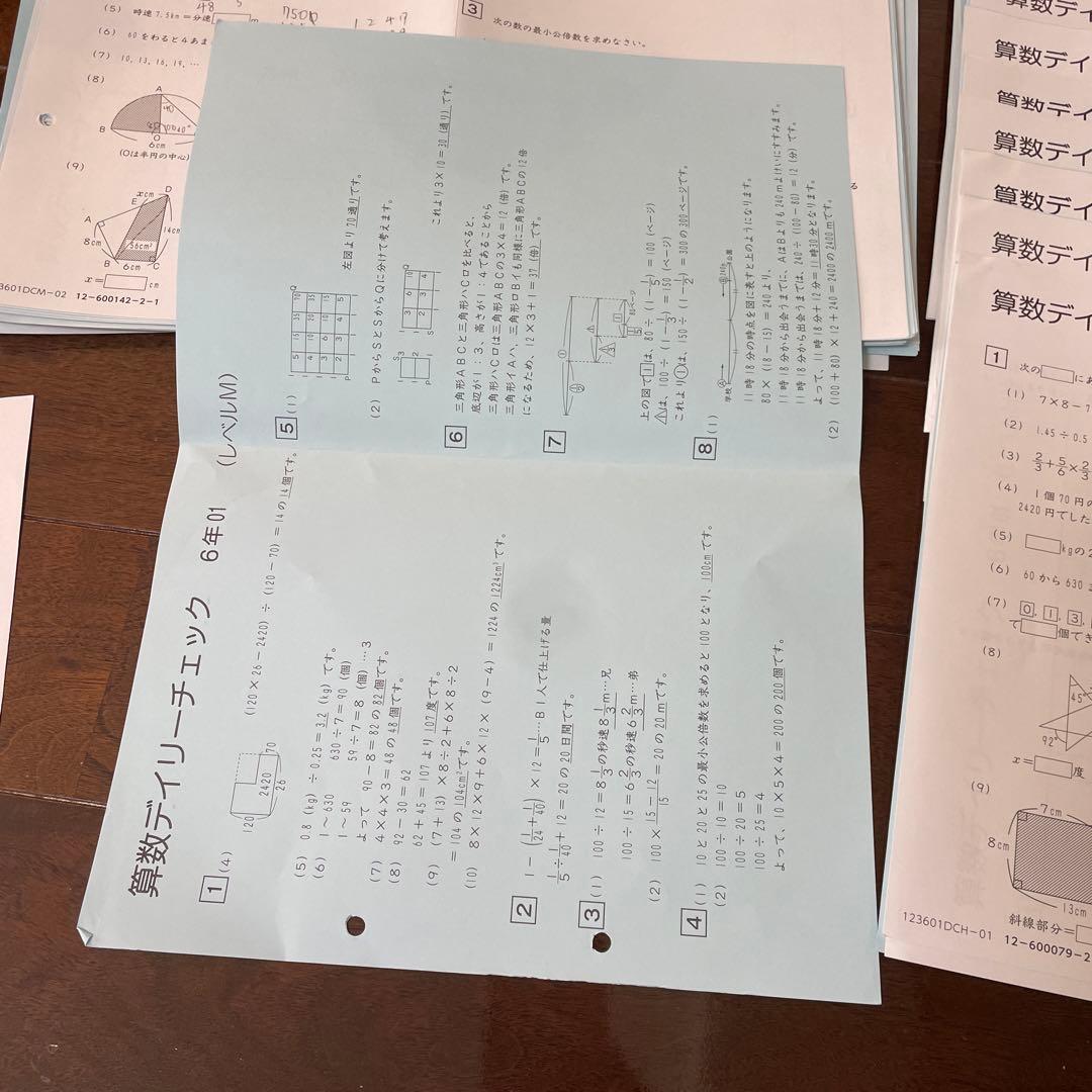 SAPIX 6年 夏期算数デイリーチェック01〜18 - メルカリ