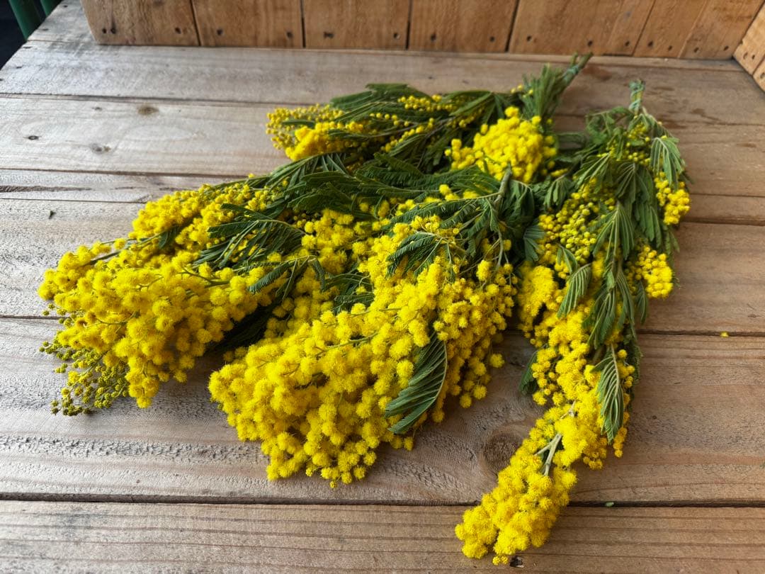 mizu様 リクエスト 2点 まとめ商品