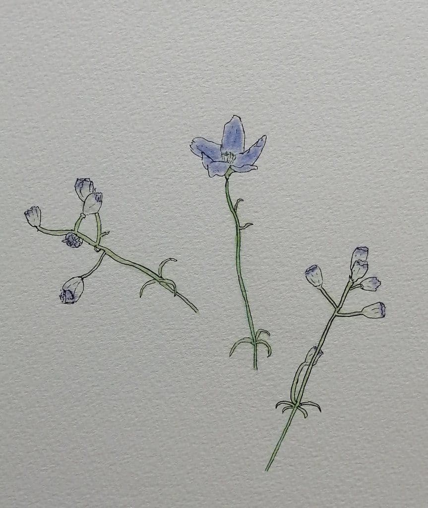 花の絵 Sen Artオリジナル☆アクリル絵画「誕生花」 | ベネちゃんSHOP「全国の