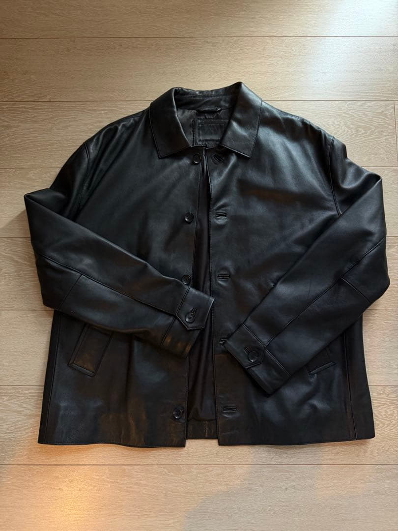 ZARA レザーコレクション ラムレザージャケット