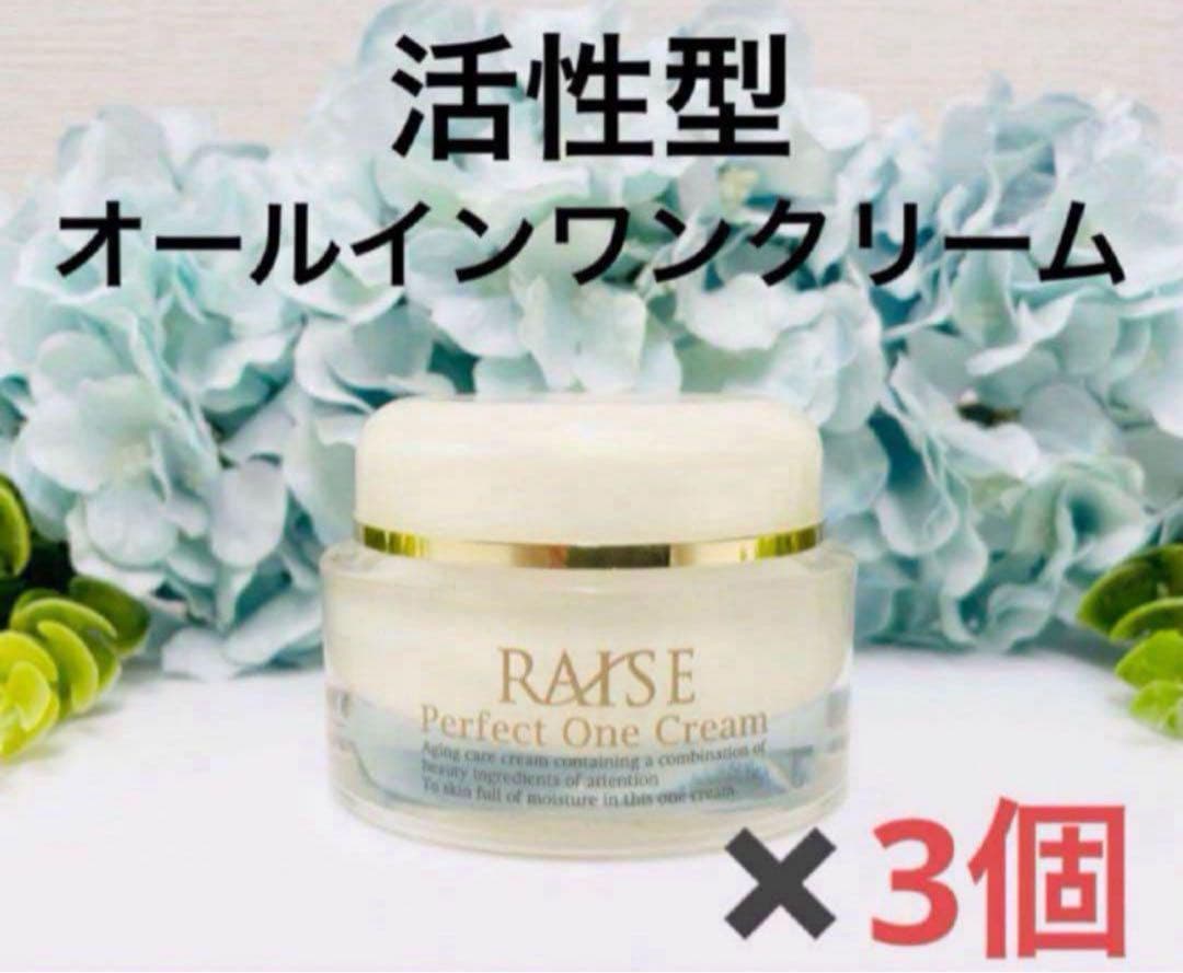 RAISE Perfect One Cream 50g × 3個