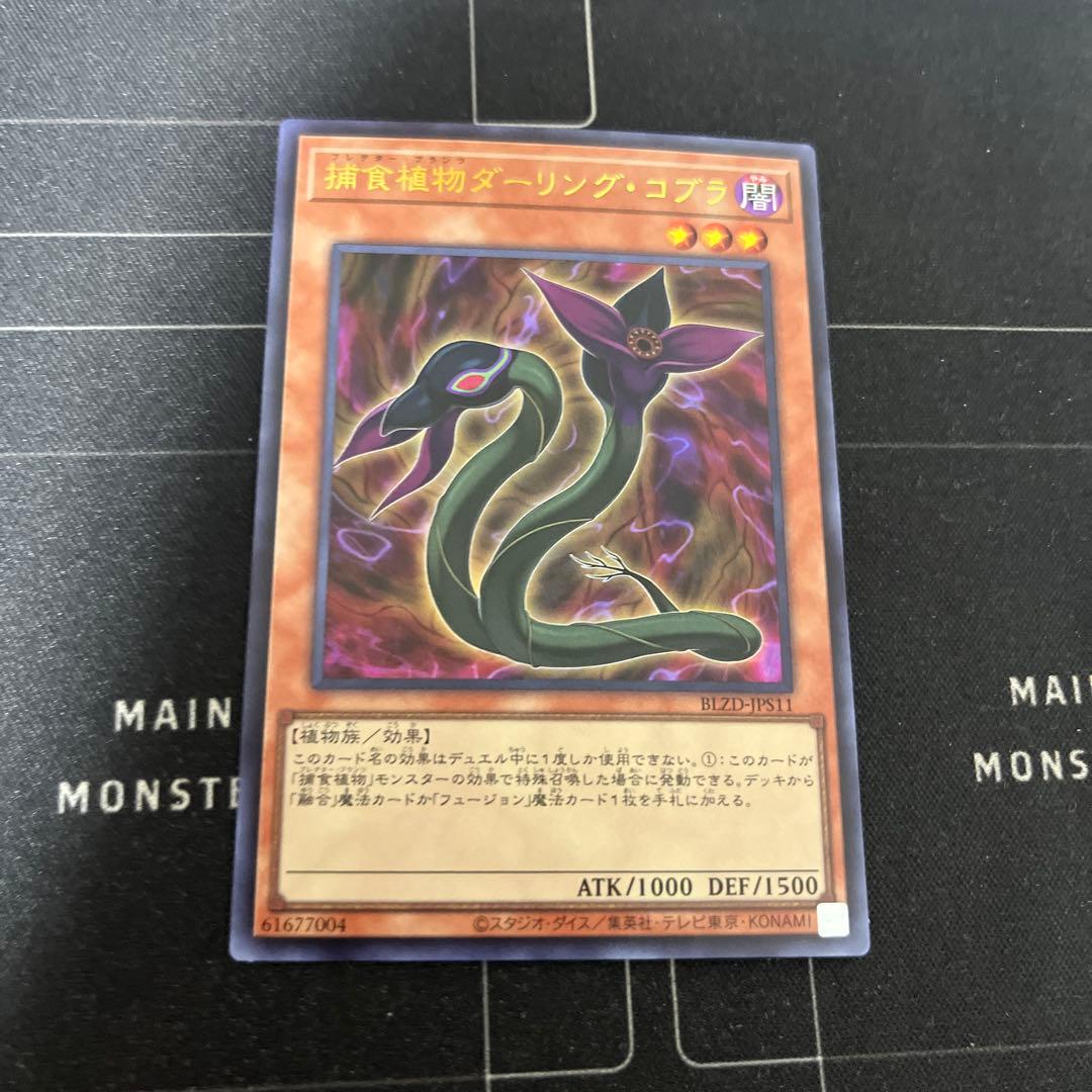 捕食植物ダーリング・コブラ ウルトラ - メルカリ