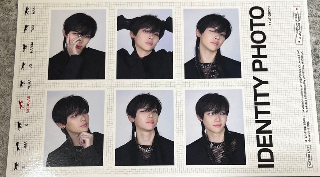 &team NICHOLAS 月狼 トレカ ポストカード - メルカリ