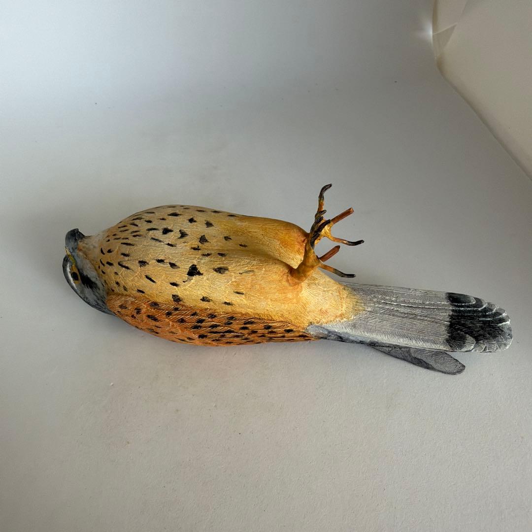 チョウゲンボウ 木彫りの野鳥 野鳥彫刻 リアルバードカービング