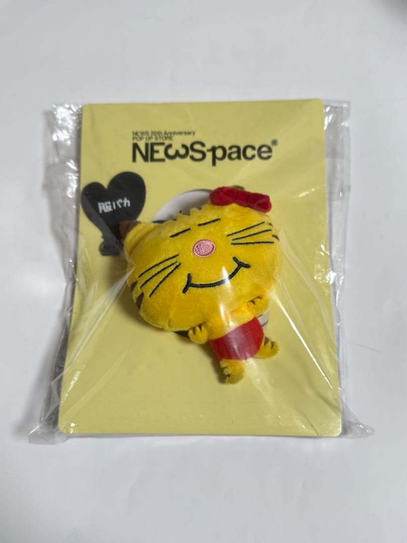 増田貴久 NEWSpace ネコます