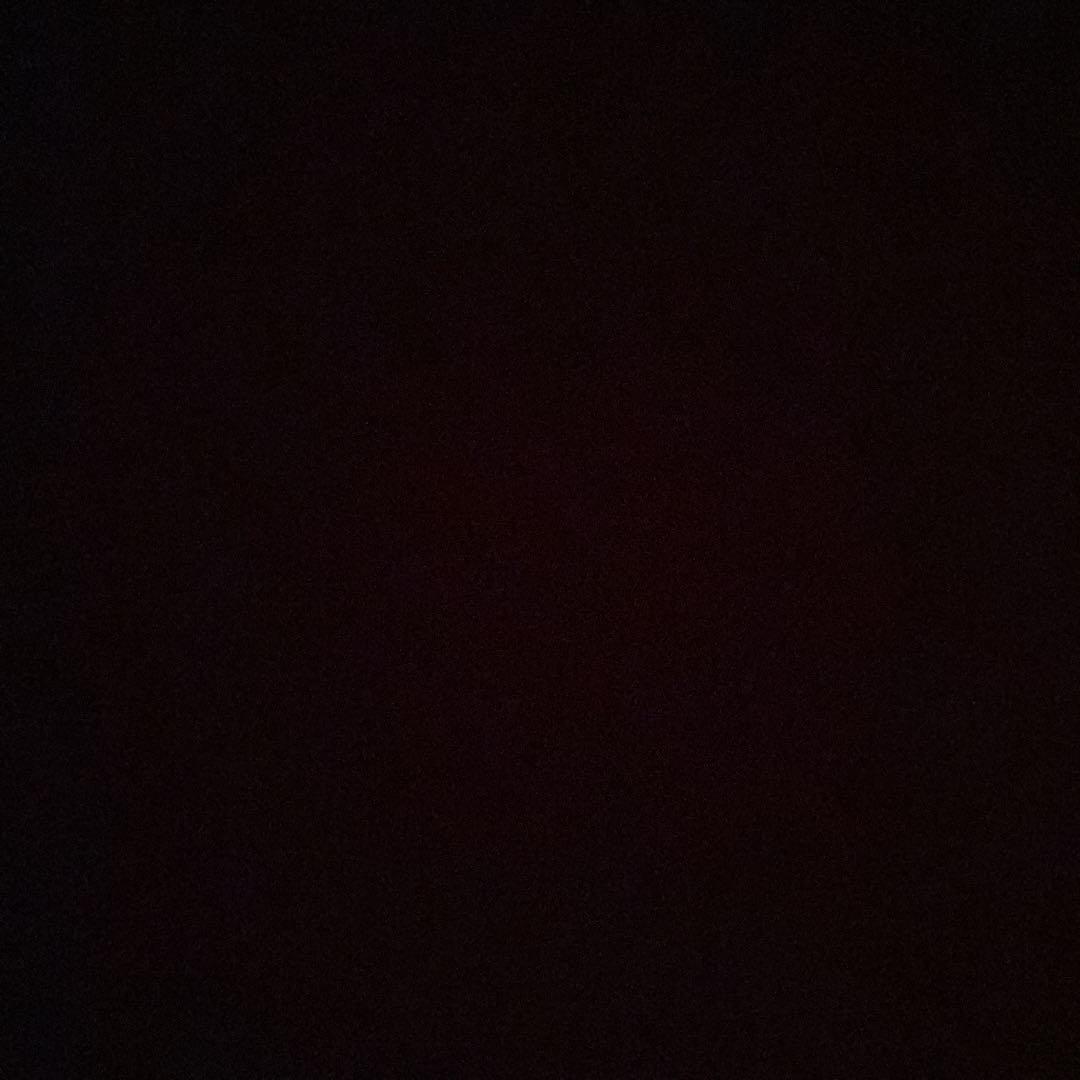 ブンブンさん専用