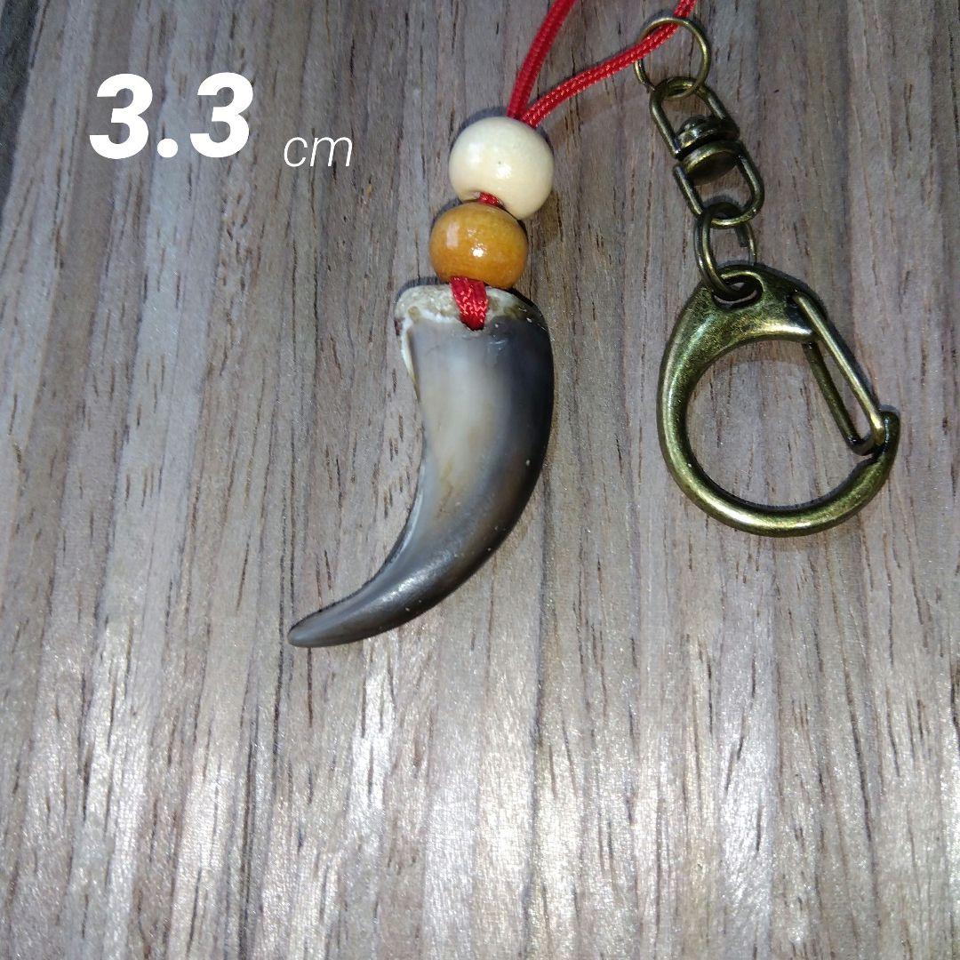 天然素材 羆爪(小熊)キーホルダー - メルカリ