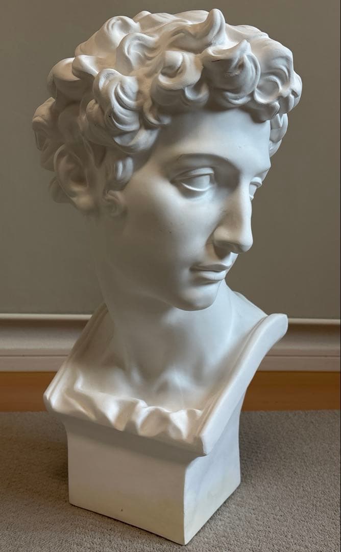 石膏像 ジュリアーノ・メディチ胸像 デッサン