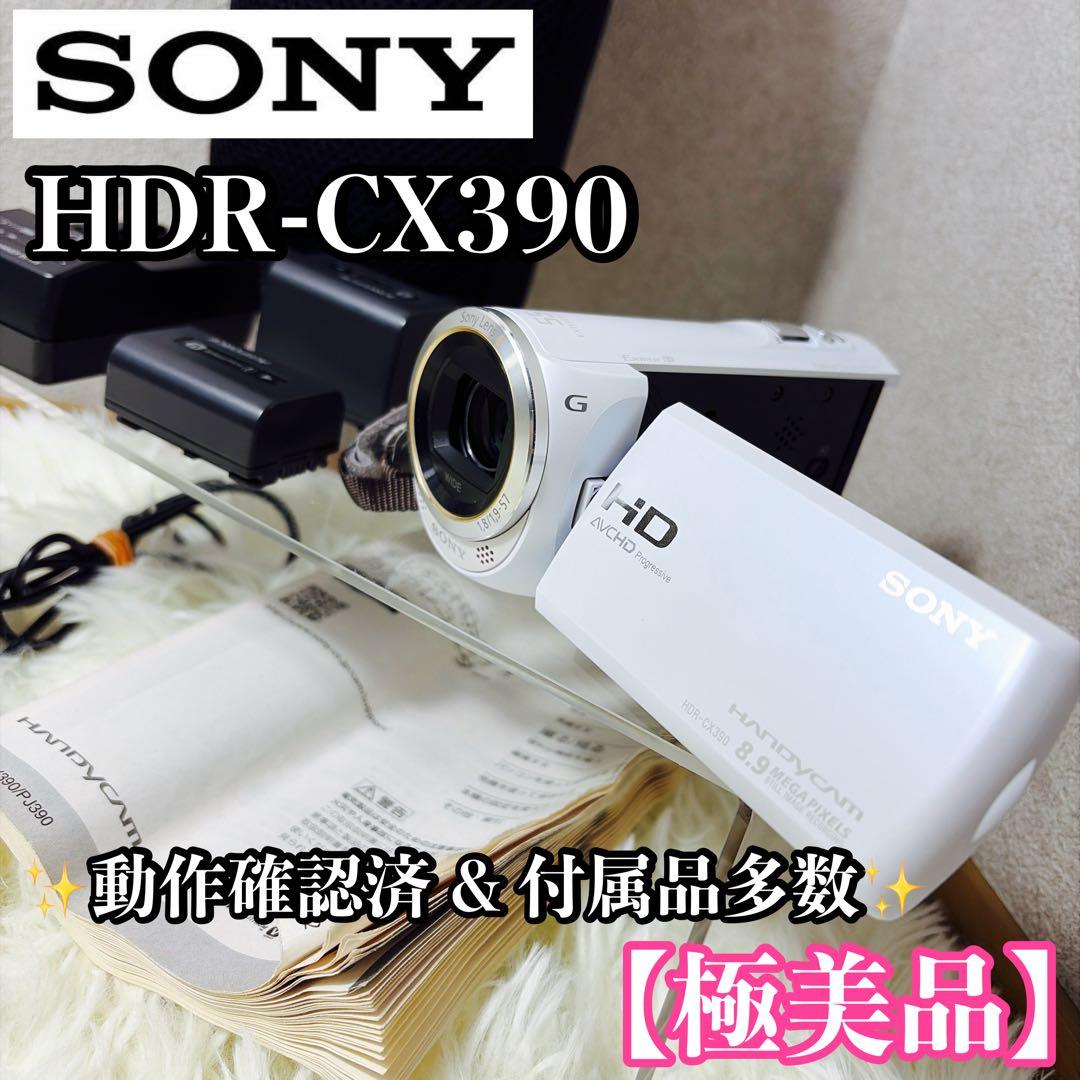 【極美品】SONY ハンディカムHDR-CX390 付属品多数