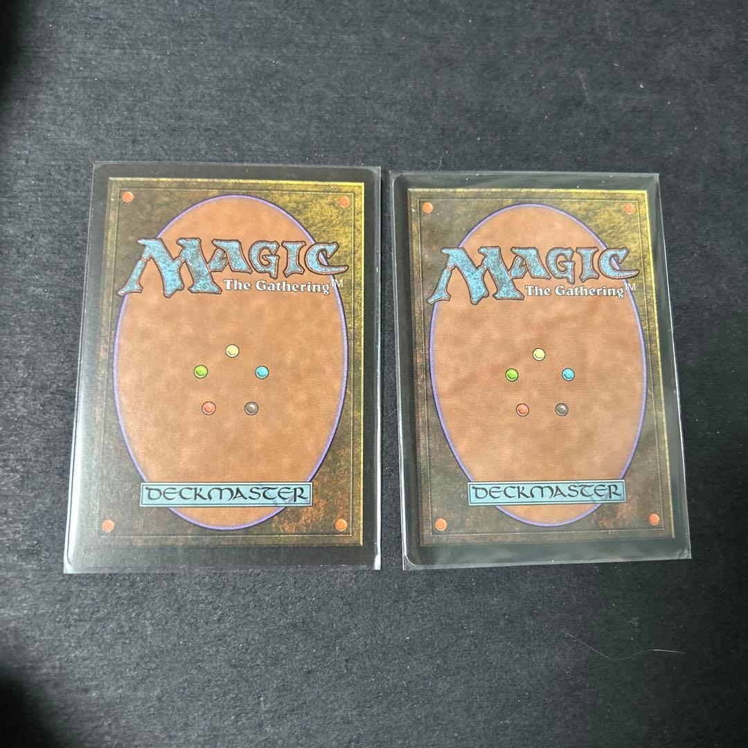 果敢な勇士リン・シヴィー Lin Sivvi, Defiant Hero 2枚 - メルカリ