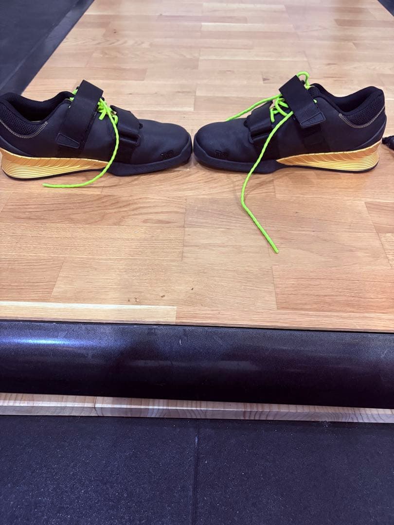 最終価格　TYR（ティア）L-1リフター 25.9cm