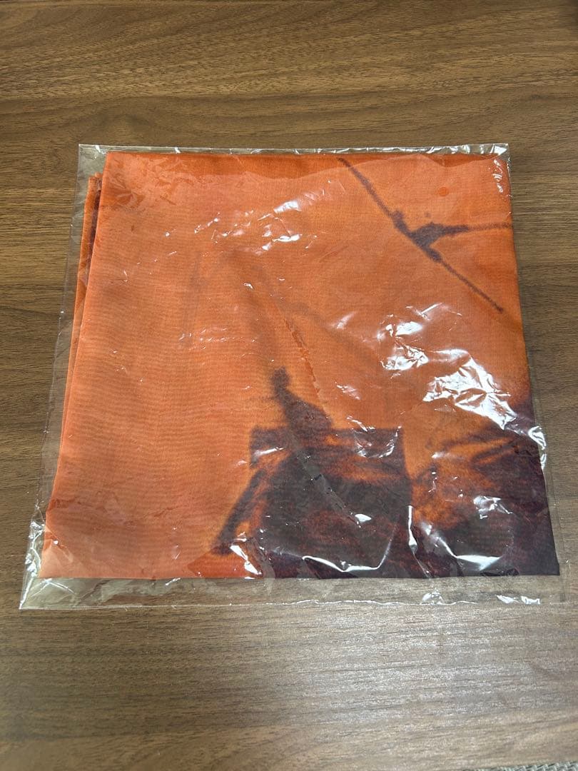 kanekoayano 武道館 ワンマンショー 2026 スカーフ